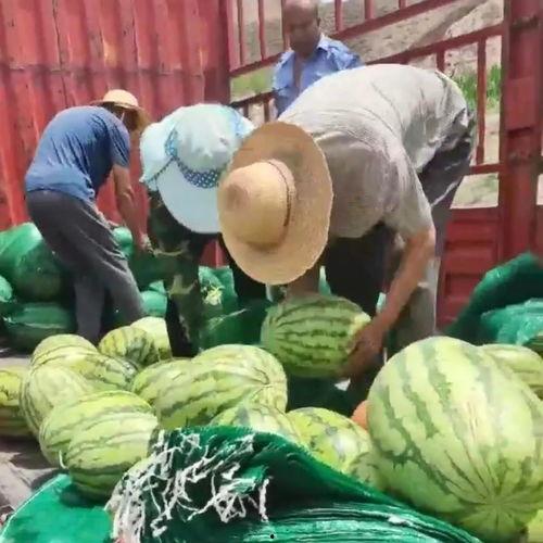 靖远吃瓜群众,揭秘当地生活百态