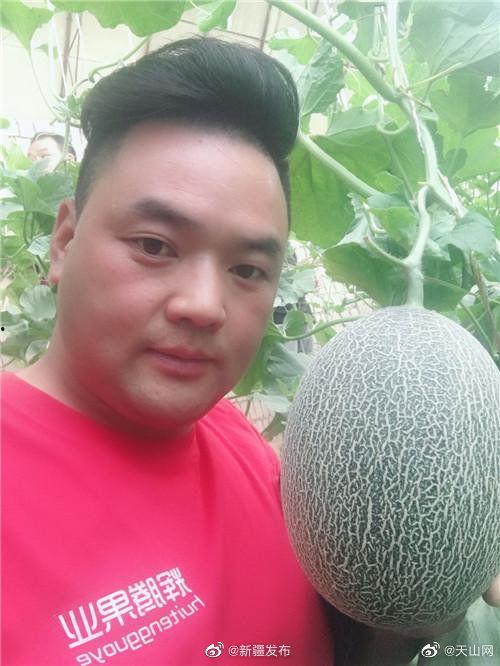 水果哥吃瓜直播