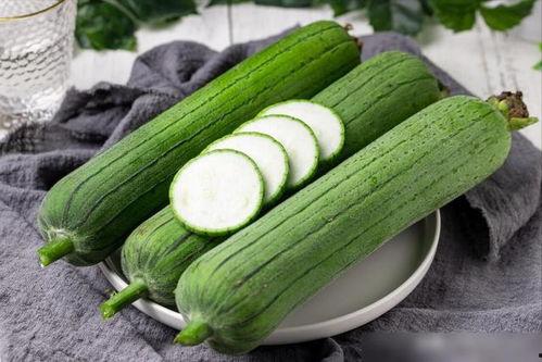 老的水瓜怎么吃,传统与现代的完美融合