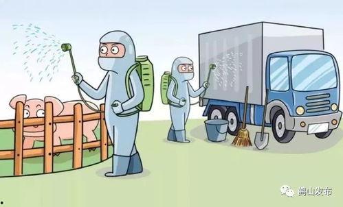 疫情网课吃瓜事件,一场关于教育公平与网络暴力的吃瓜大戏