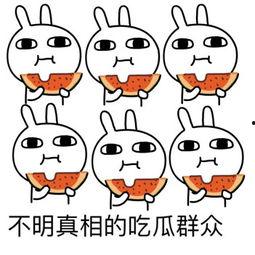吃瓜哭泣表情包,吃瓜哭泣表情包背后的故事与情感共鸣